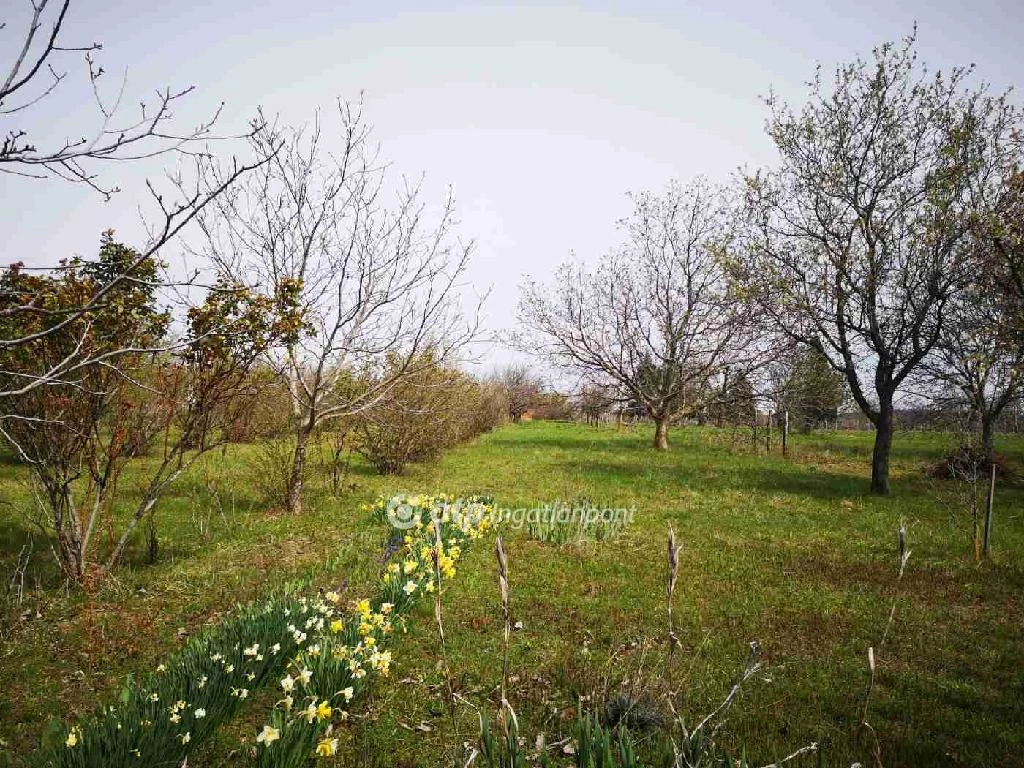 For sale periphery plot, Hosszúhetény, Ormándi utca