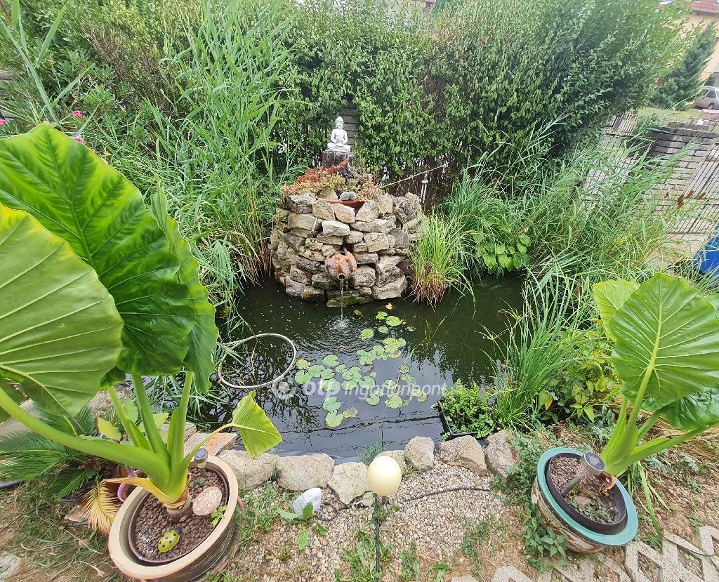 For sale house, Pécs, Postavölgy