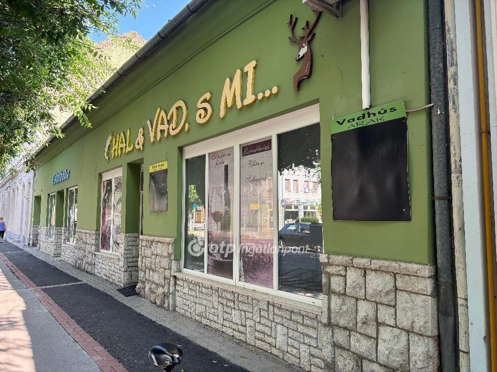 c3-1-name c2-1-name, Mohács, Belváros