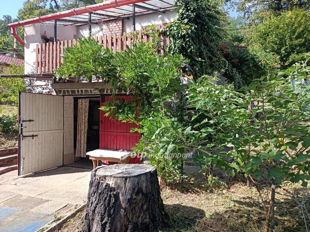 c3-1-name c2-62-name, Komló, Sikonda