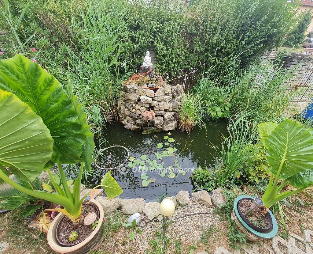 c3-1-name c2-1-name, Pécs, Nagypostavölgyi út