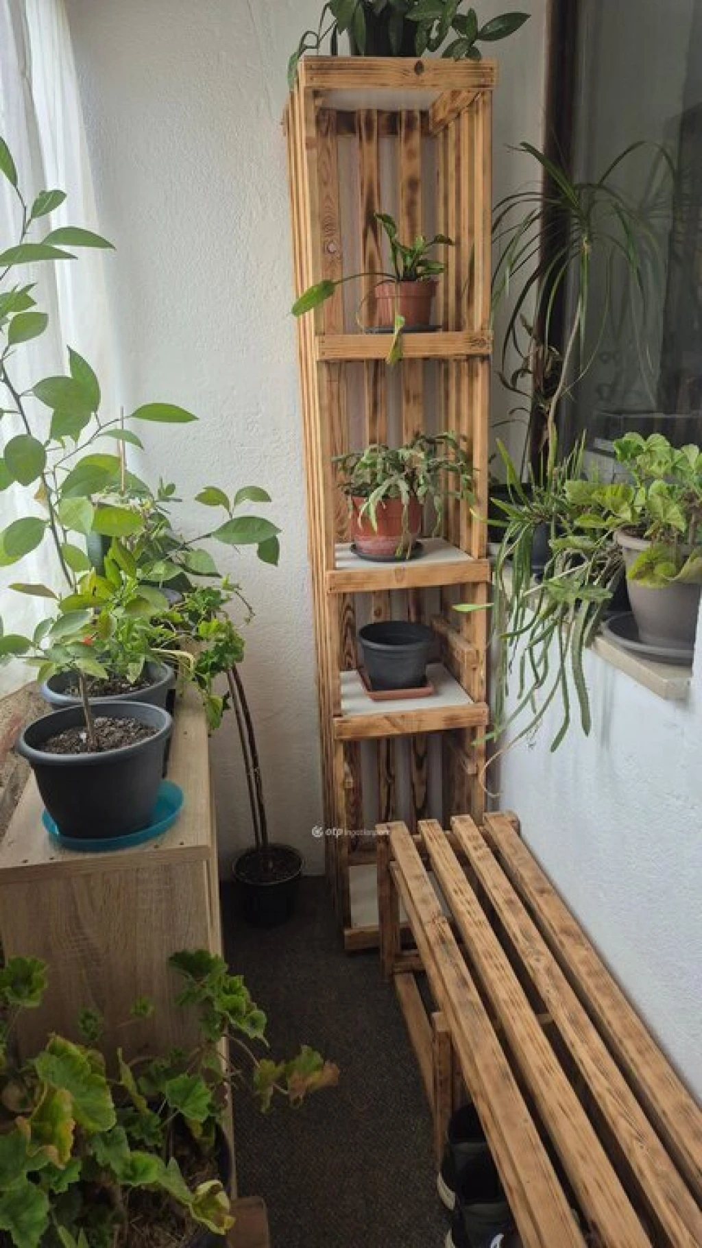 c3-1-name c2-1-name, Aranyosgadány