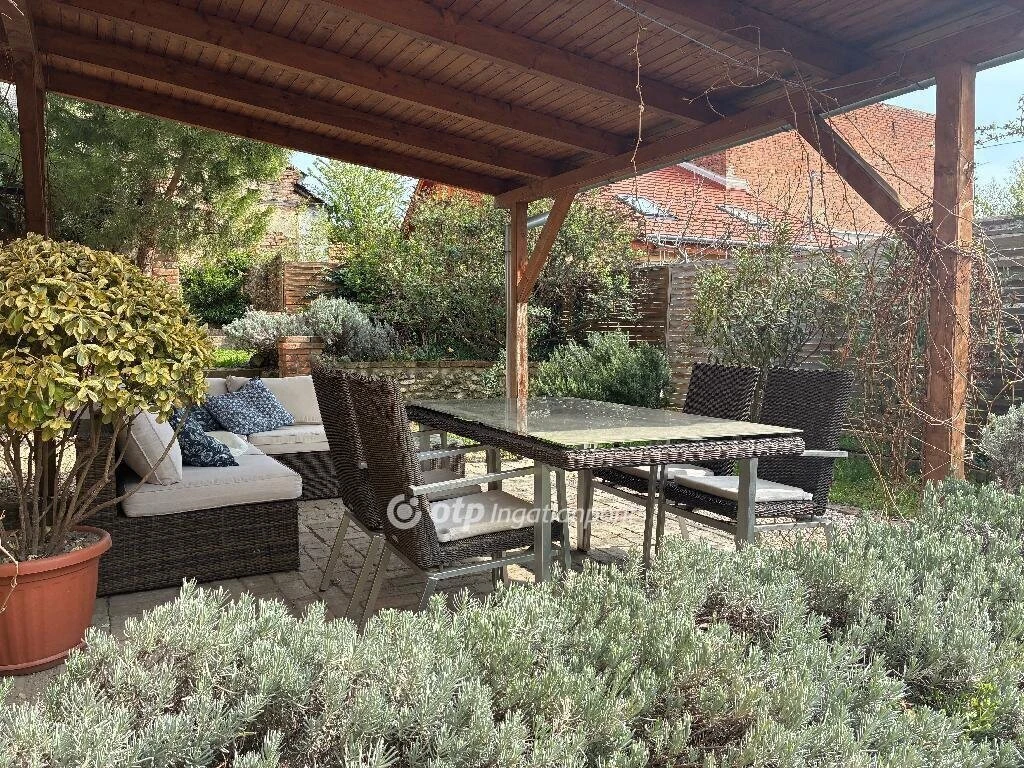 c3-1-name c2-1-name, Pécs, Ledina