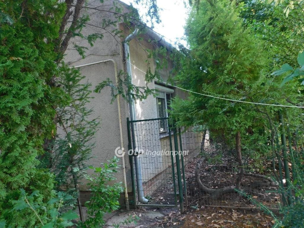 Eladó Ház, Görcsöny