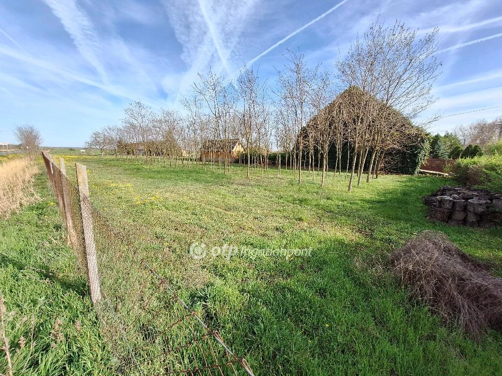 Eladó építési telek, Tiszajenő, Fő út