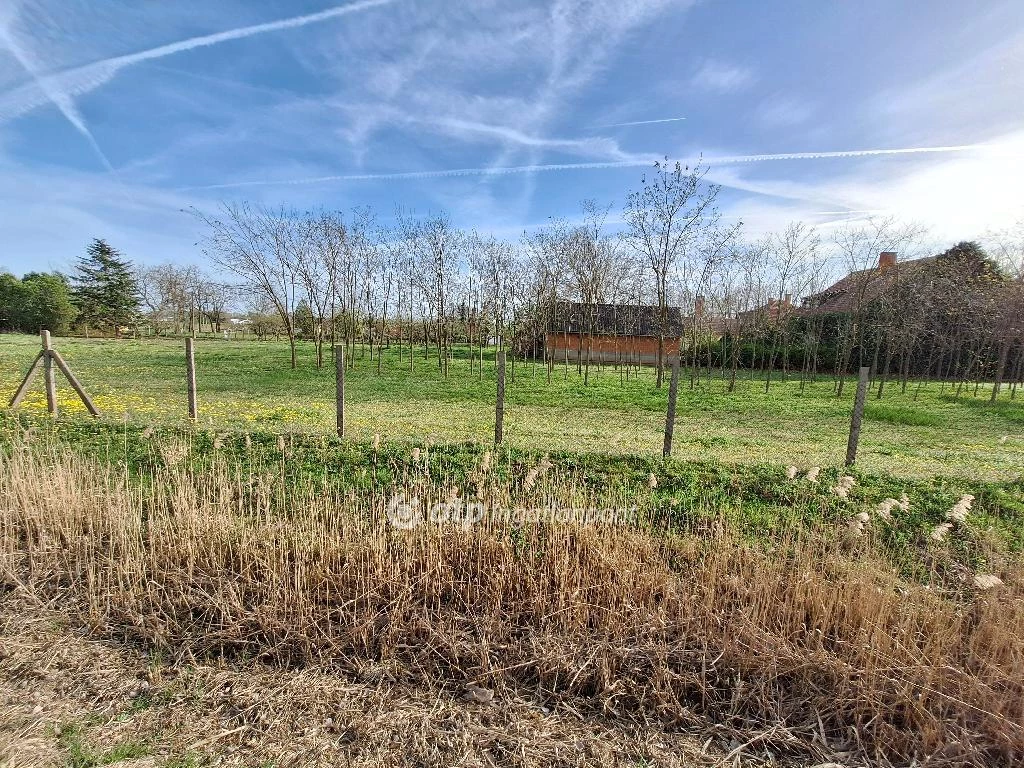 For sale building plot, Tiszajenő, Fő út mellet