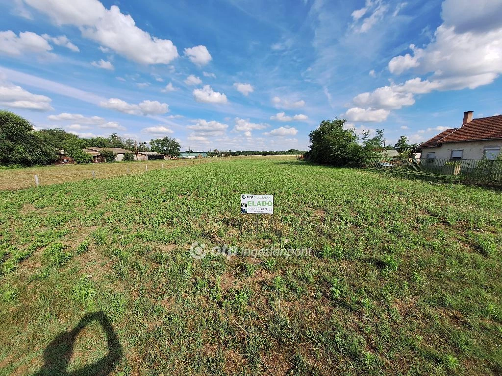 For sale building plot, Tiszakécske, Fő út mellett