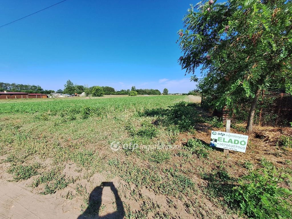 For sale building plot, Tiszakécske, Város széle