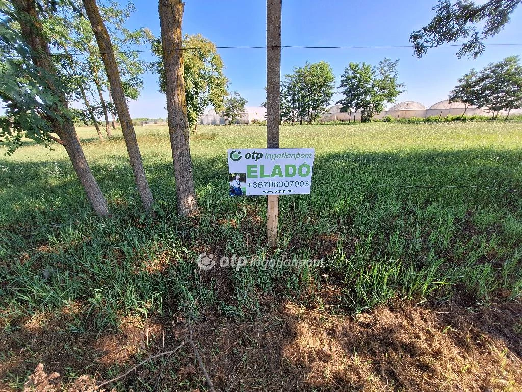 For sale building plot, Tiszakécske, Kerekdomb