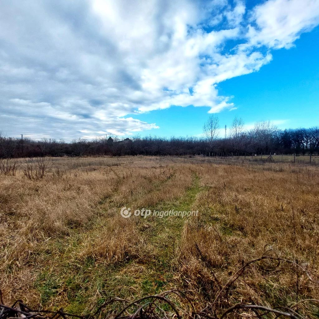 For sale building plot, Tápiószele, Vasútállomás és központ közelében