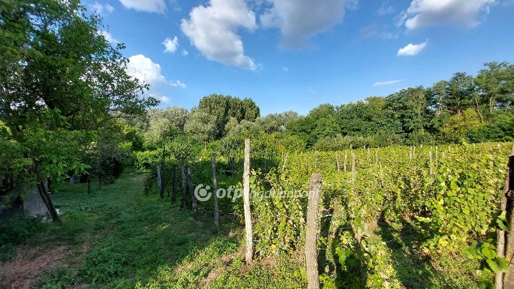 For sale building plot, Tiszakécske, Holt-Tiszapart