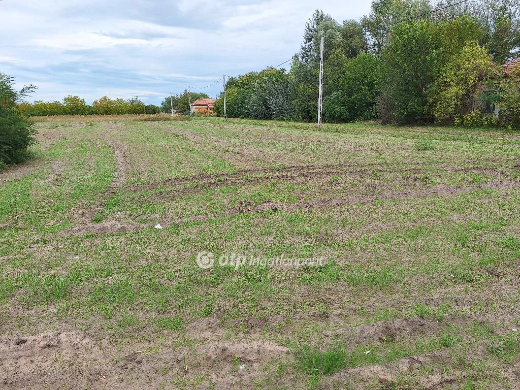 Eladó építési telek, Tiszakécske, Tiszabög közepe.