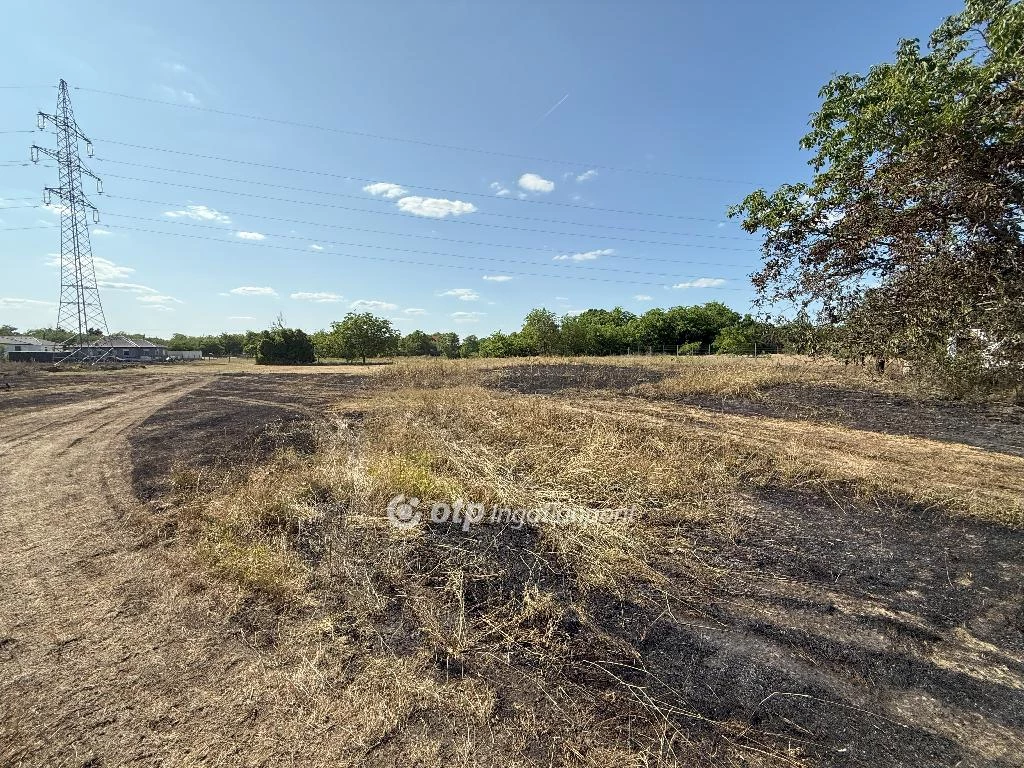 Eladó építési telek, Kecskemét, Arborétum környéke