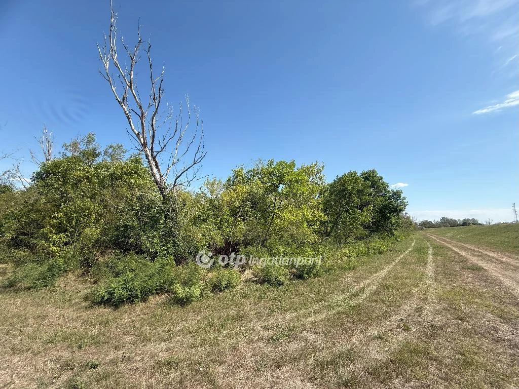 Eladó építési telek, Gyomaendrőd, Fűzfászugi-holtág
