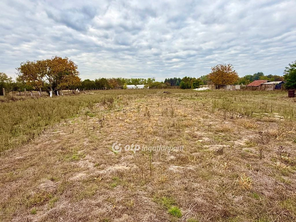 Eladó építési telek, Cegléd, Öregszőlő