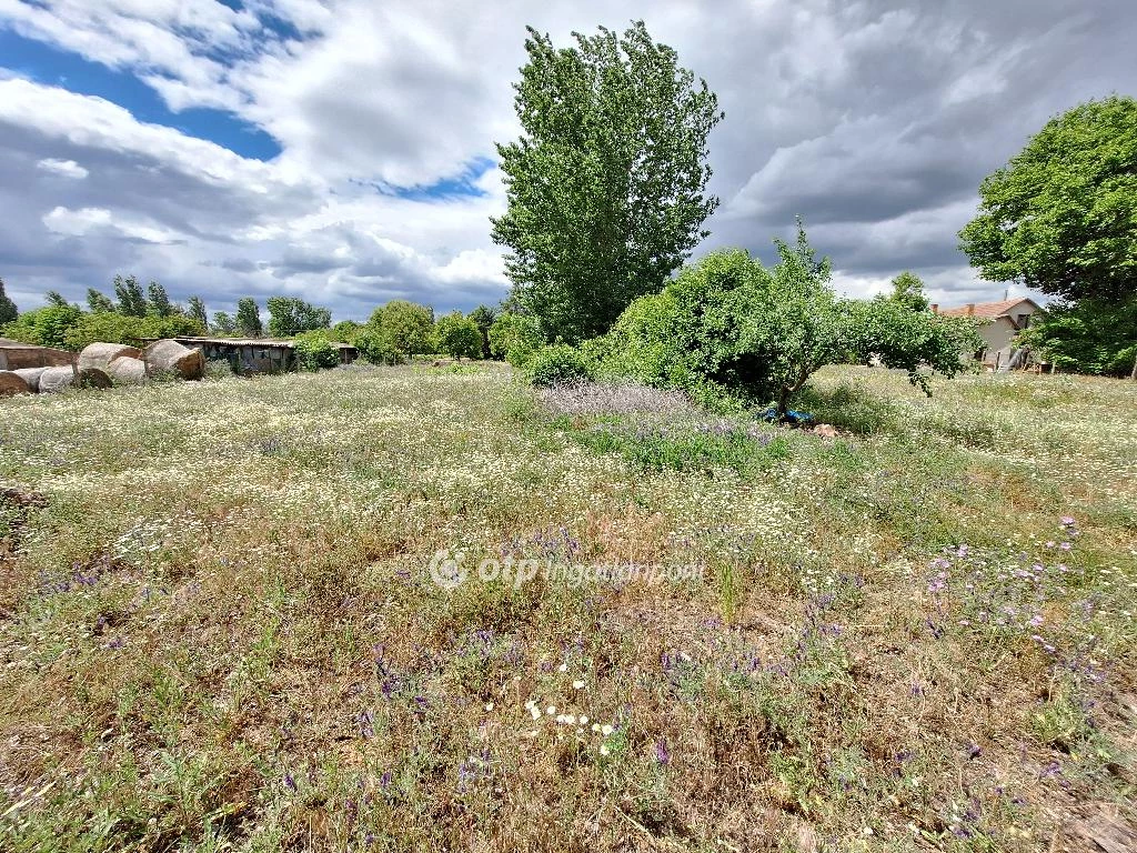 Eladó építési telek, Tiszakécske, Ókécske