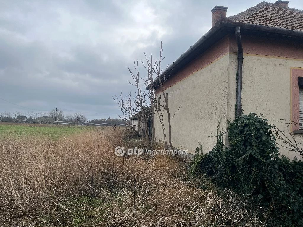 Eladó építési telek, Tiszaföldvár, Település széle