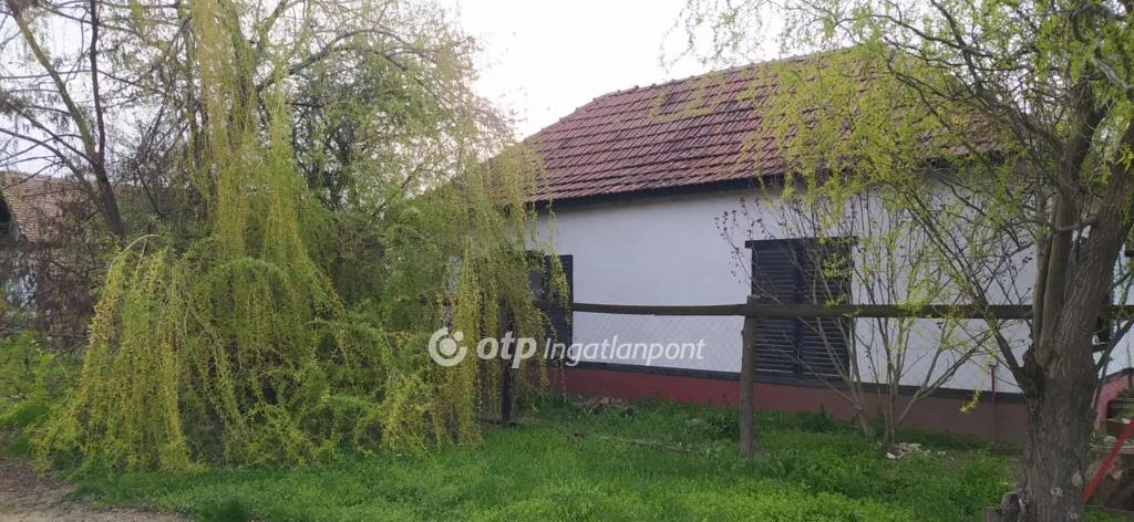 Eladó családi ház, Tiszapüspöki, csendes