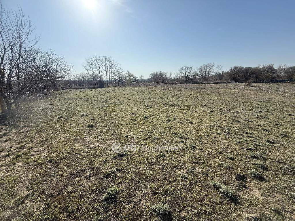 c3-1-name c2-50-name, Tiszakécske, Nyaraló övezet