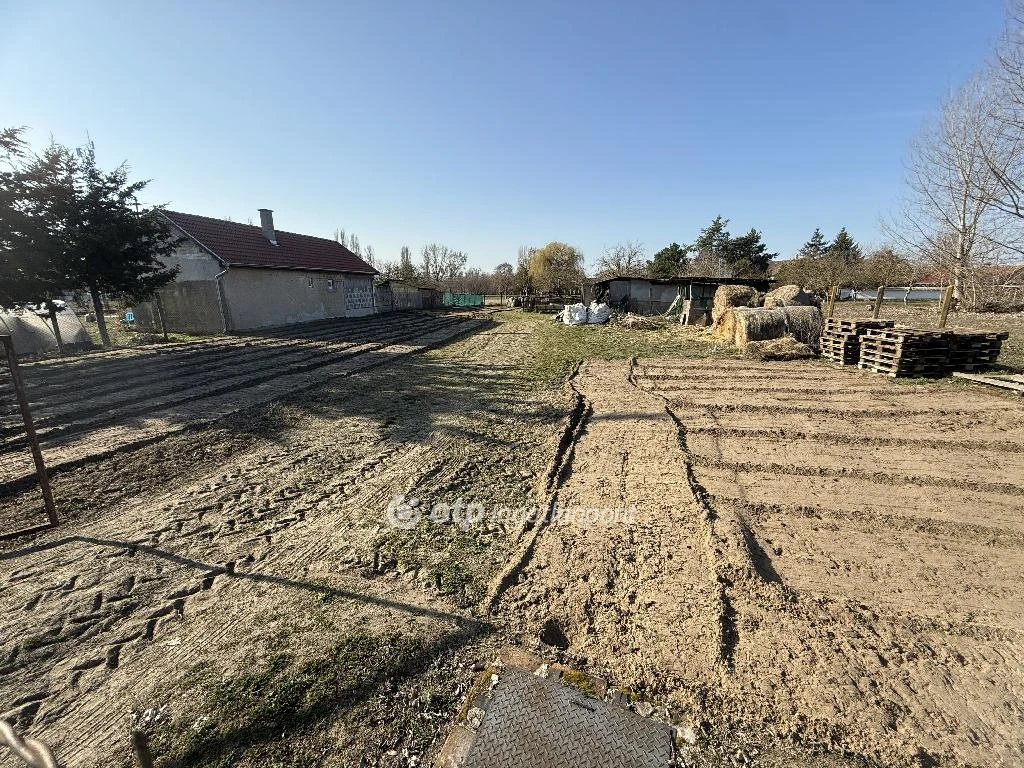 c3-1-name c2-50-name, Tiszakécske, Ókécske