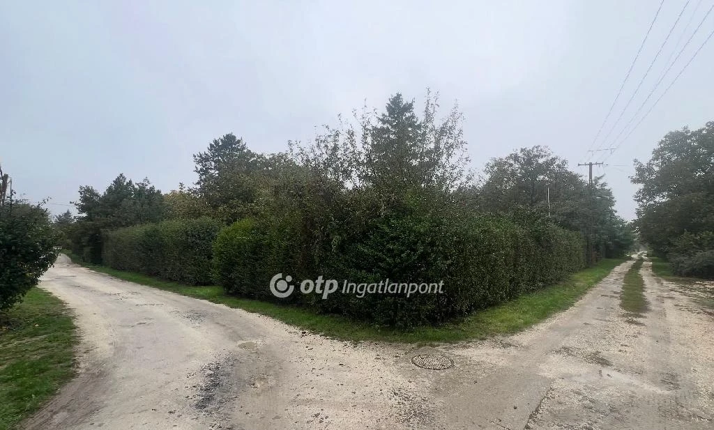 c3-1-name c2-50-name, Szolnok, Mol benzinkút 4-es főút