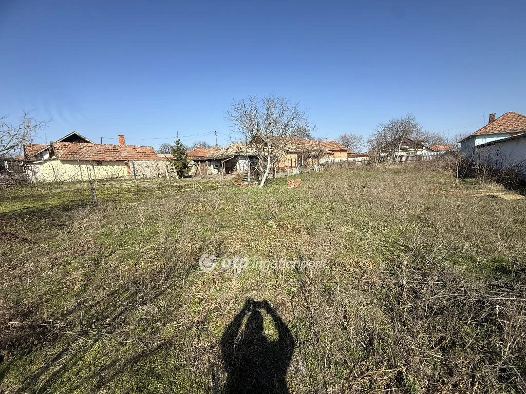 c3-1-name c2-50-name, Tiszakécske, Központ