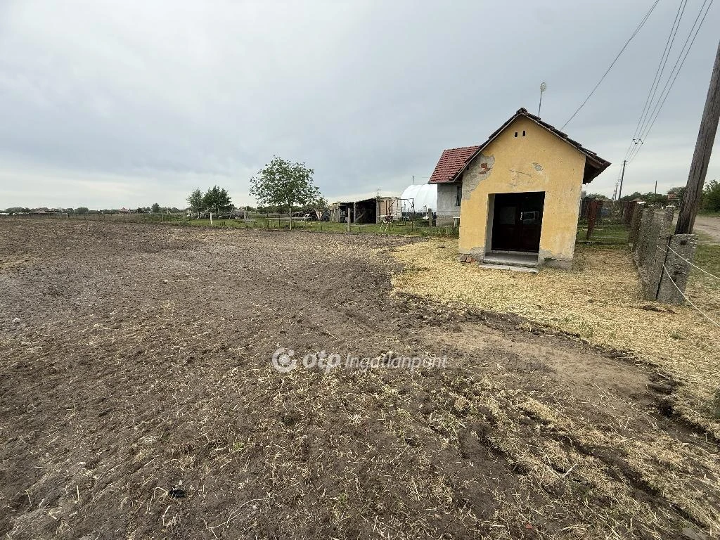 Eladó építési telek, Tiszakécske, Külterület