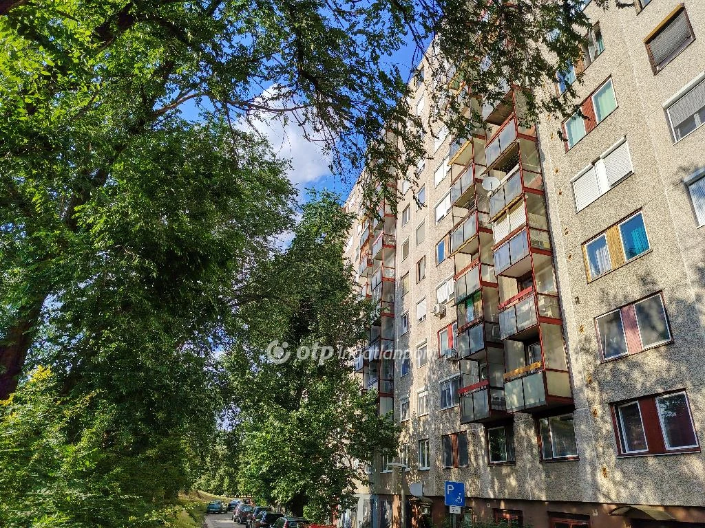 Eladó panellakás, Szolnok, csendes