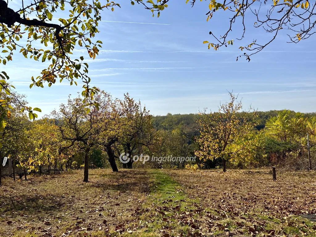 Eladó üdülő, nyaraló, Gomba, Tetepuszta