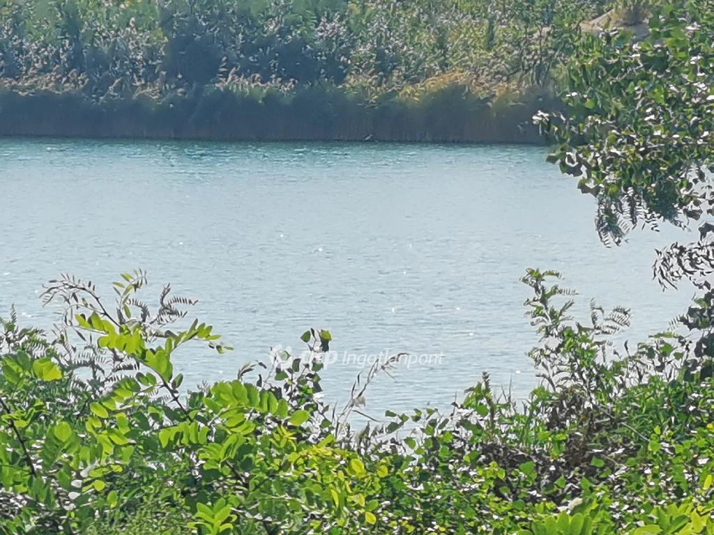 Eladó Telek, Dunavarsány