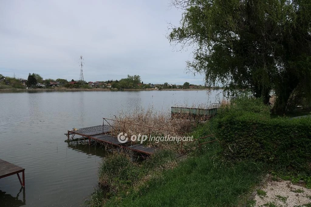 c3-1-name c2-1-name, Taksony