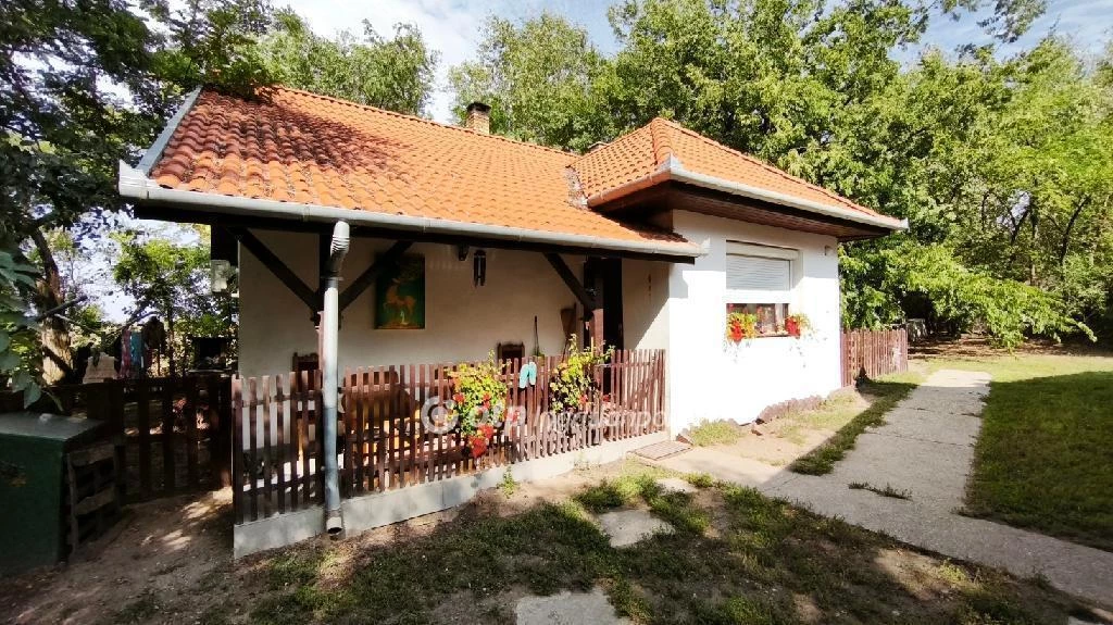 Eladó Ház, Délegyháza