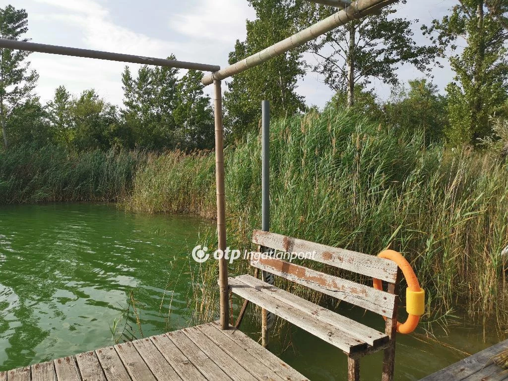 For sale house, Délegyháza