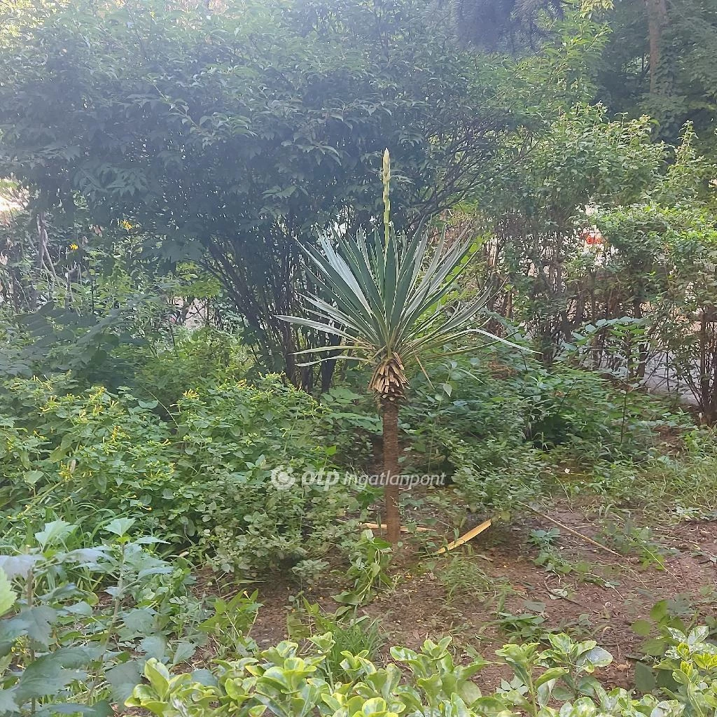 For sale panel flat, Budapest XIX. kerület, Óváros