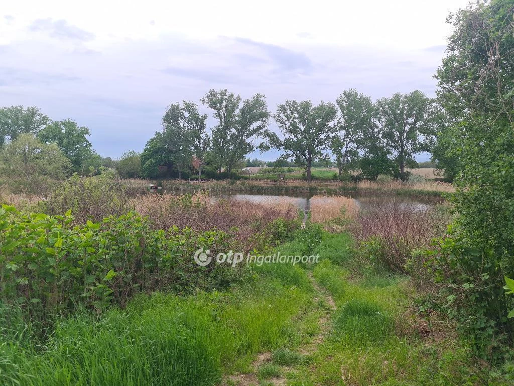 Eladó Telek, Taksony