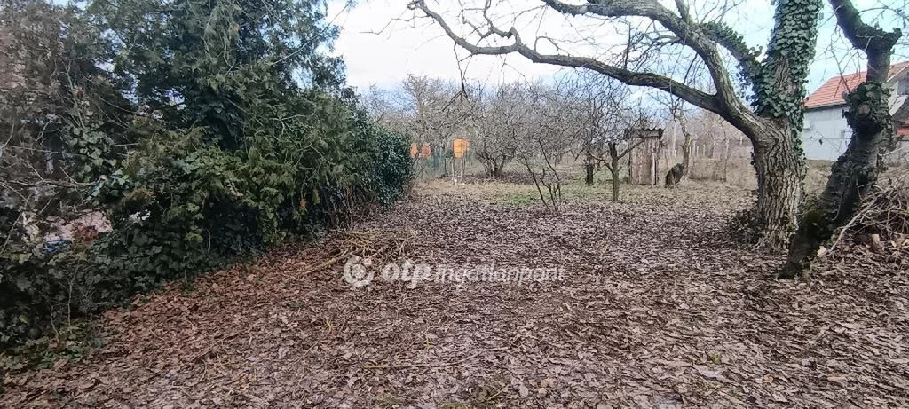 Eladó Telek, Szigetújfalu