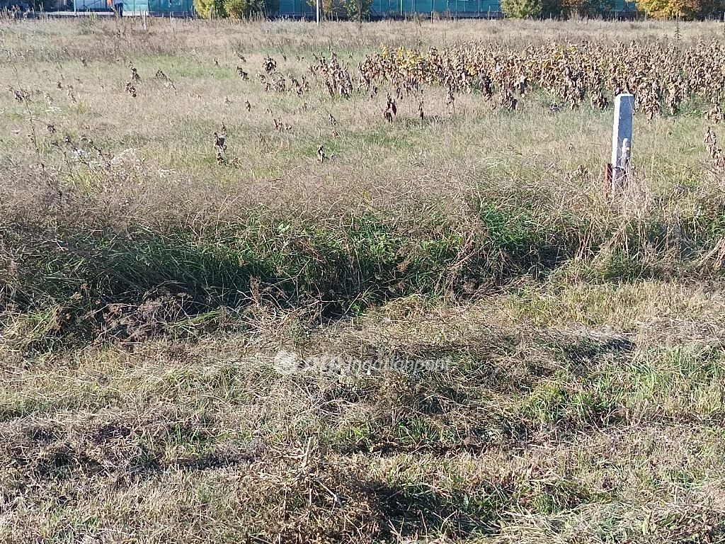 Eladó Telek, Tököl