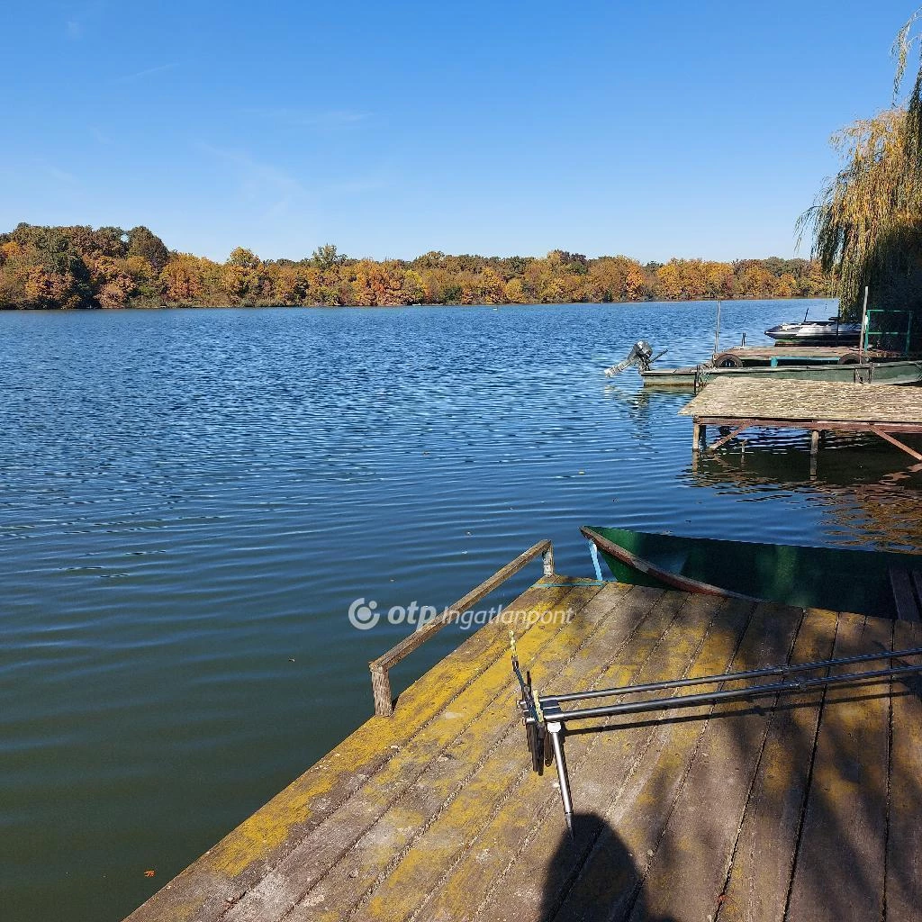 Eladó Ház, Dömsöd