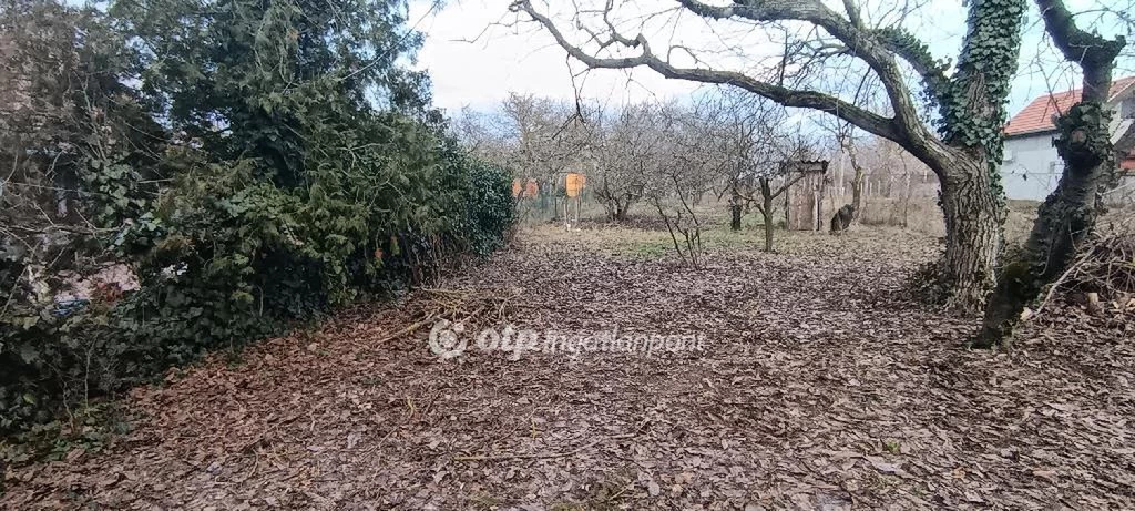 Eladó Telek, Szigetújfalu