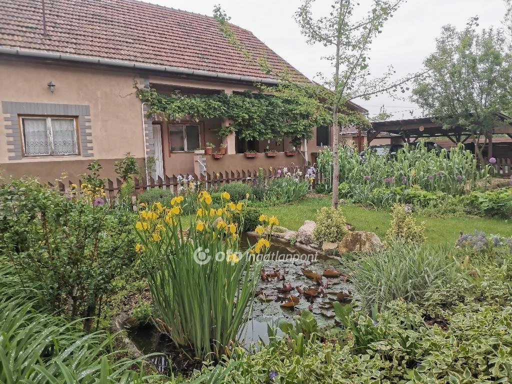 Eladó Ház, Vecsés