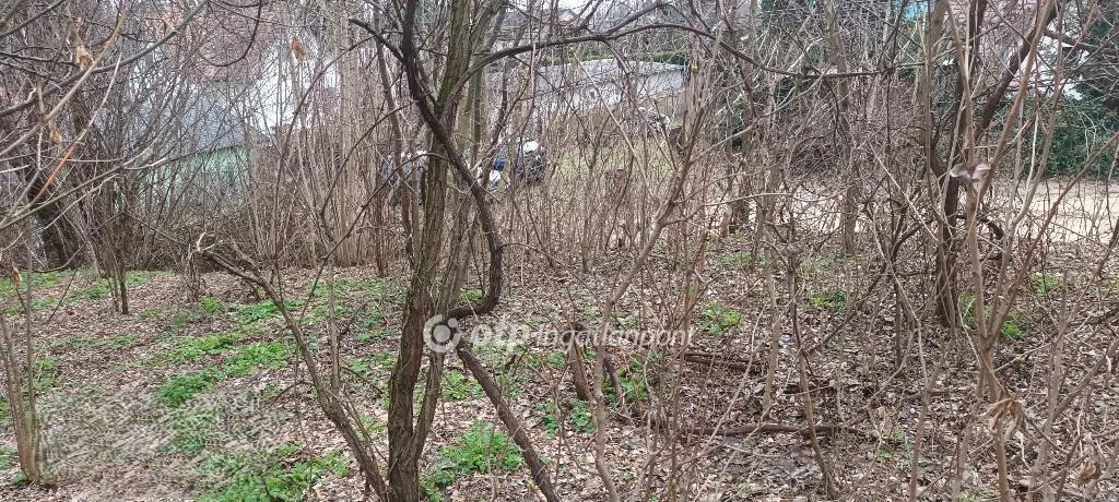 Eladó Telek, Szigethalom