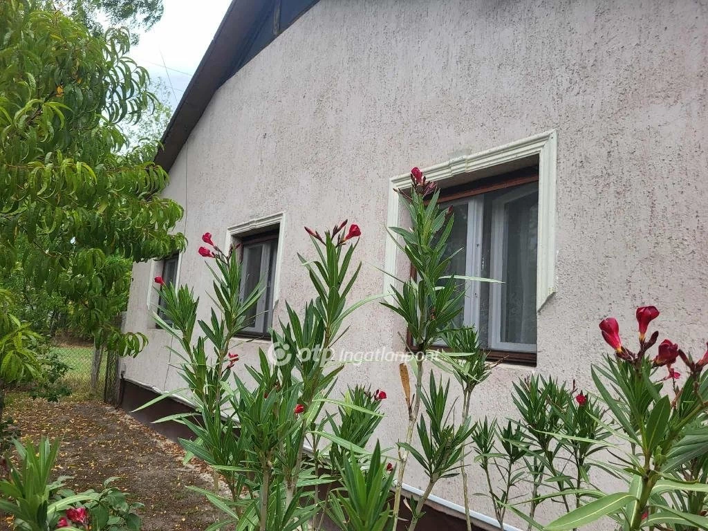 Eladó Ház, Szentmártonkáta