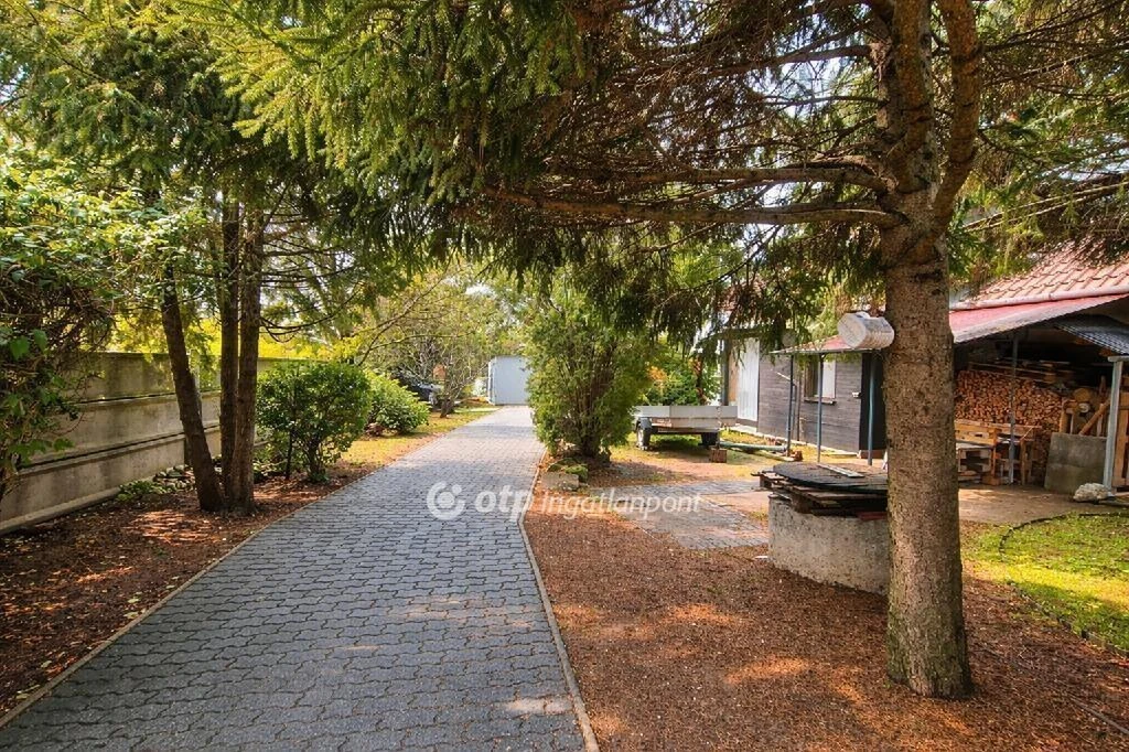 c3-1-name c2-1-name, Ócsa, Központ