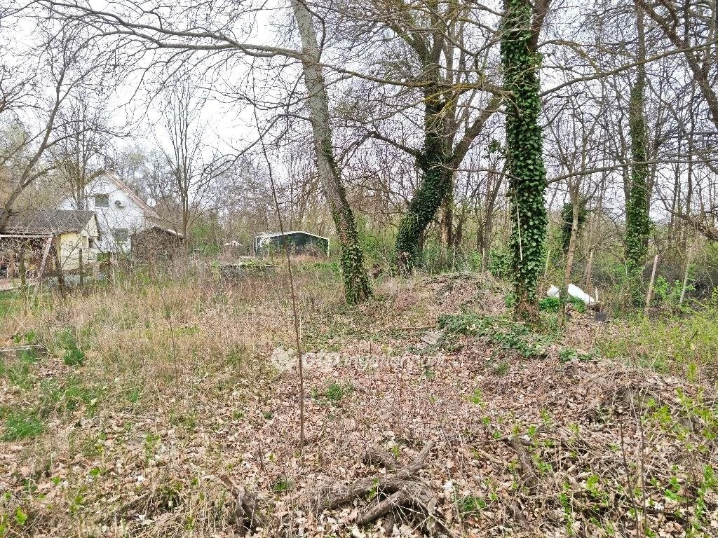 Eladó Telek, Ráckeve