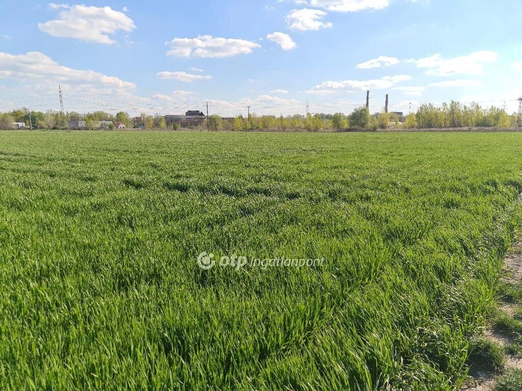 c3-1-name c2-84-name, Szigetszentmiklós