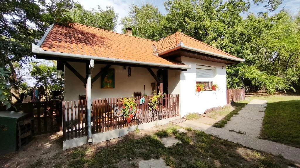 Eladó Ház, Délegyháza