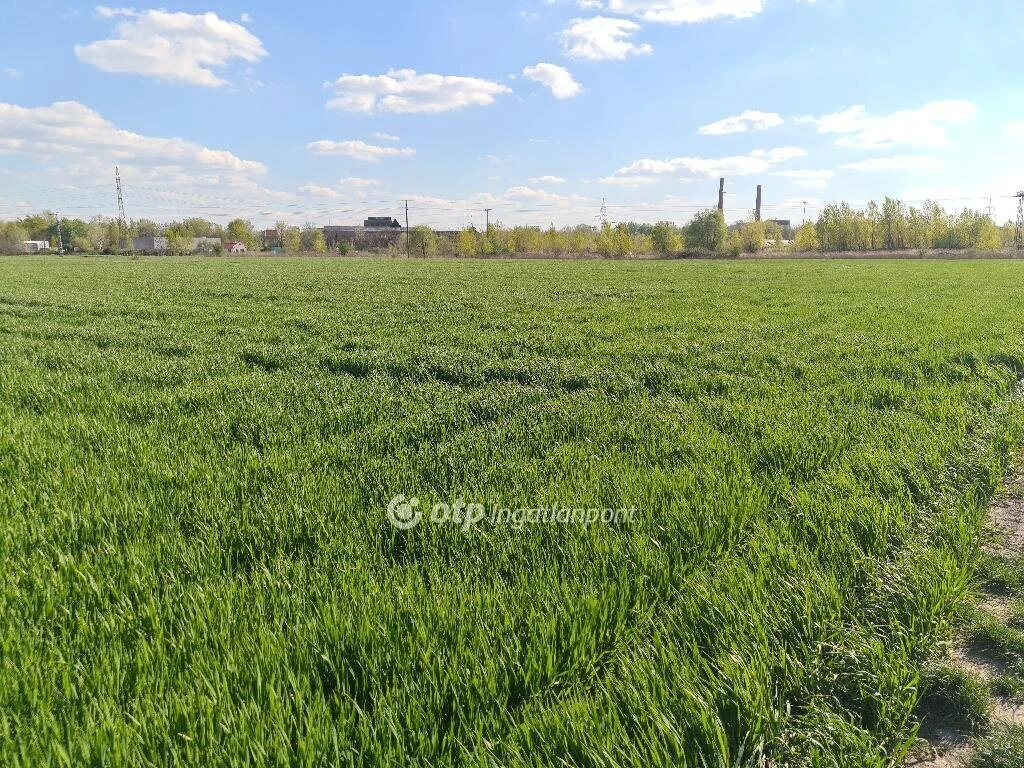 Eladó Telek, Szigetszentmiklós