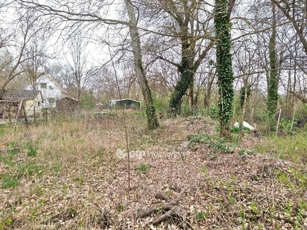 Eladó Telek, Ráckeve