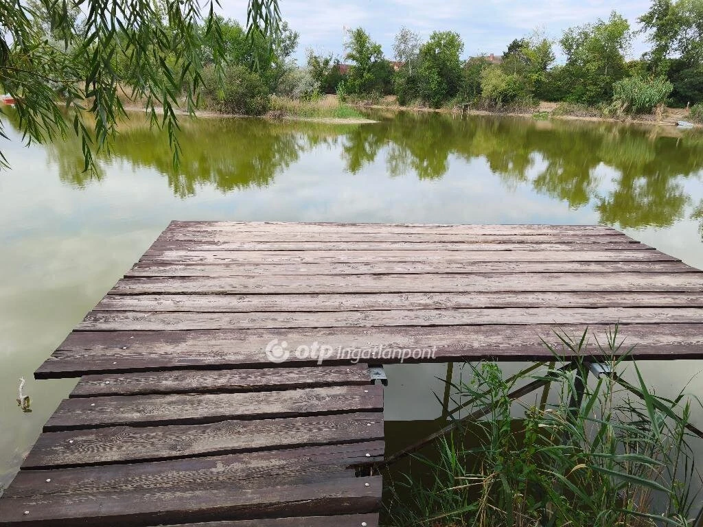 Eladó Telek, Délegyháza