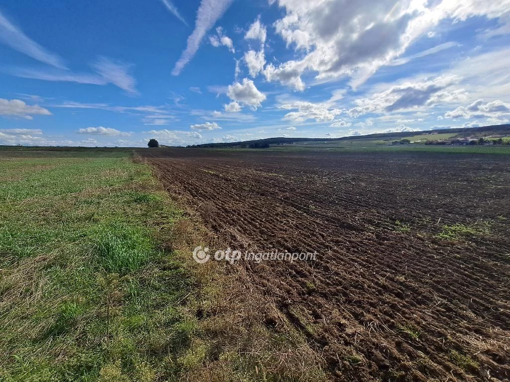 For sale plough-land, pasture, Nemesvámos, csendes